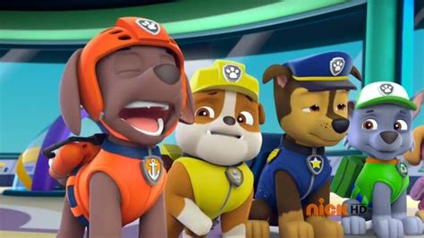 zuma paw patrol|paw patrol zuma gets sick.